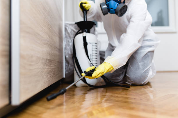 Best Local Pest Control Services  in Browns Mills, NJ