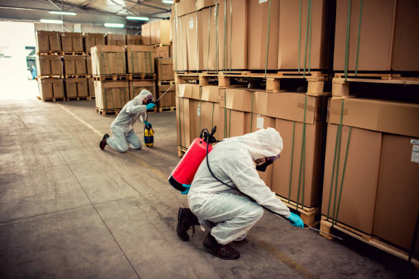 Best Best Pest Control Companies  in Browns Mills, NJ