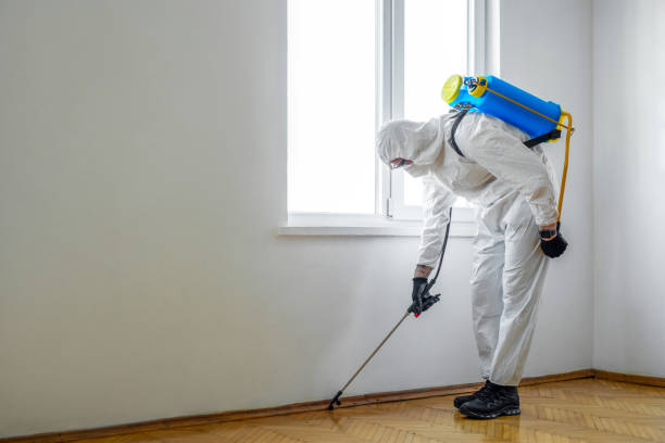 Best Termite Control Services  in Browns Mills, NJ